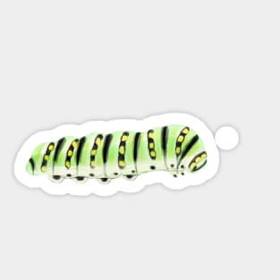 Caterpillar Sticker